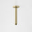 Caroma Luna Straight Ceiling Arm 210mm - Ideal Bathroom Centre90388BBBrushed Brass