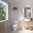 Caroma Luna Toilet Roll Holder - Ideal Bathroom Centre99607CChrome