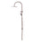 NERO MECCA TWIN SHOWER WITH AIR SHOWER II BRUSHED BRONZE - Ideal Bathroom CentreNR221905HBZ