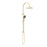 NERO MECCA TWIN SHOWER WITH AIR SHOWER II BRUSHED GOLD - Ideal Bathroom CentreNR221905HBG