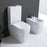 Studio Bagno Tutto Evo Back To Wall Toilet Suite - Ideal Bathroom CentreTE001Gloss White